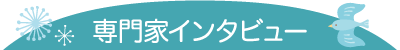 専門家インタビュー